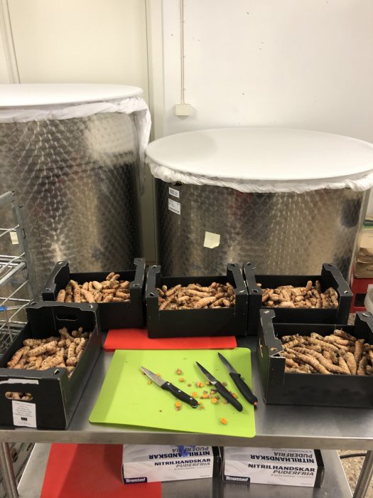 Roots kombucha förhandlar med kedjorna för att komma in på centrallagren