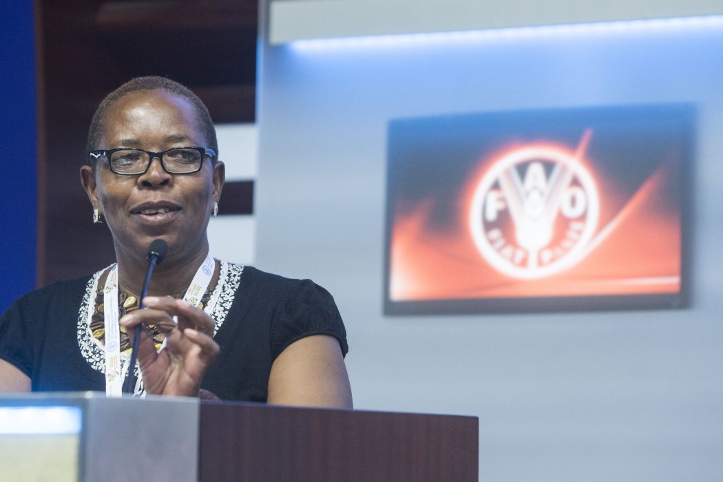Elizabeth Mpofu, generalsekreterare för den stora internationella småbondeorganisationen La Via Campesina