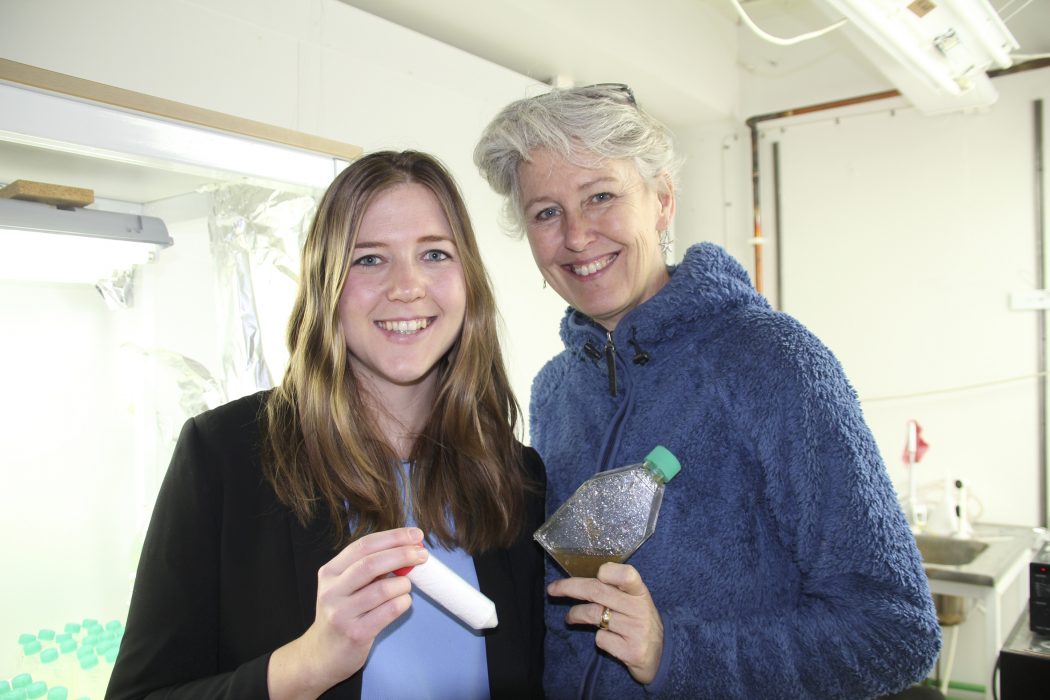 Sofie Allert och Angela Wulff startade företaget för fyra år sedan med sikte på solenergiindustrin