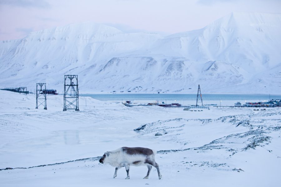 De senaste åren har utsläppen från kolkraftverket i Longyearbyen på den norska ögruppen Svalbard ökat.