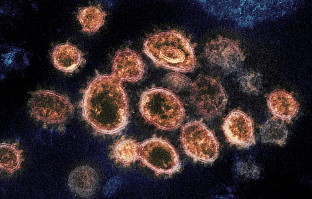 Vid en vaccinering kan det uppstå ett selektionstryck, som får de mest motståndskraftiga varianterna att växa sig starkare.