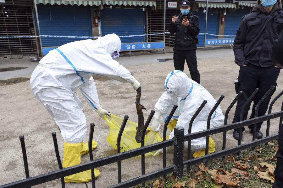 Virusutbrottet i Wuhan spårades tidigt till marknaden Huanan.