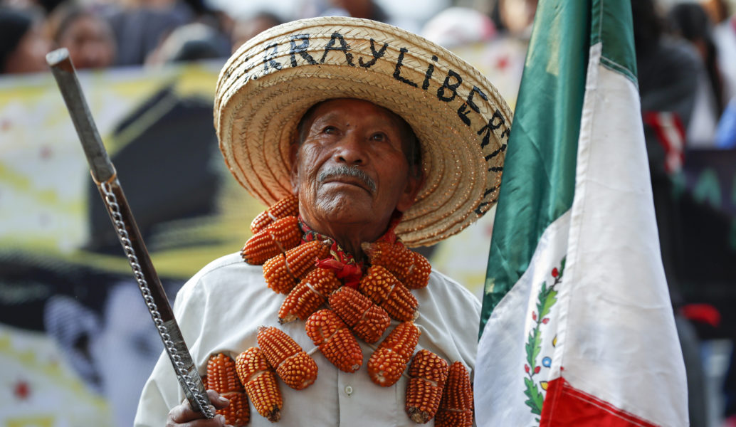 En bonde bär majskolvar som en bandolier under en gemensam protest i februari mot olika infrastruktursatsningar i Mexiko, som ett kraftvärmeverk i delstaten Morelos och det så kallade Maya-tåget med dragning över Yucatanhalvön.