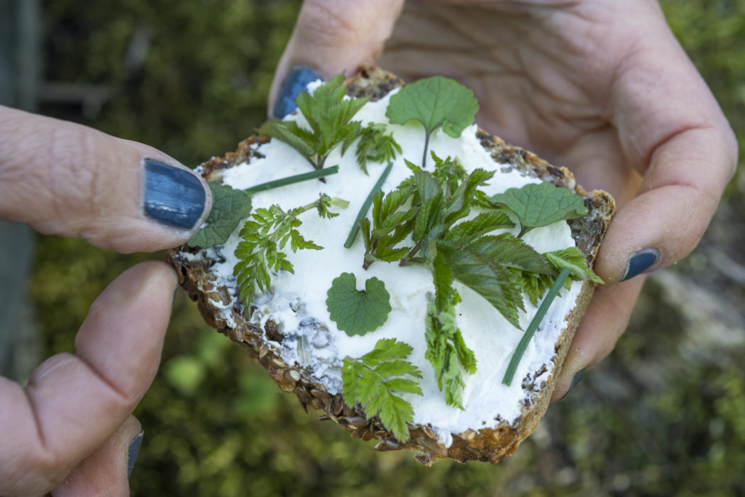 Pålägg från naturens skafferi