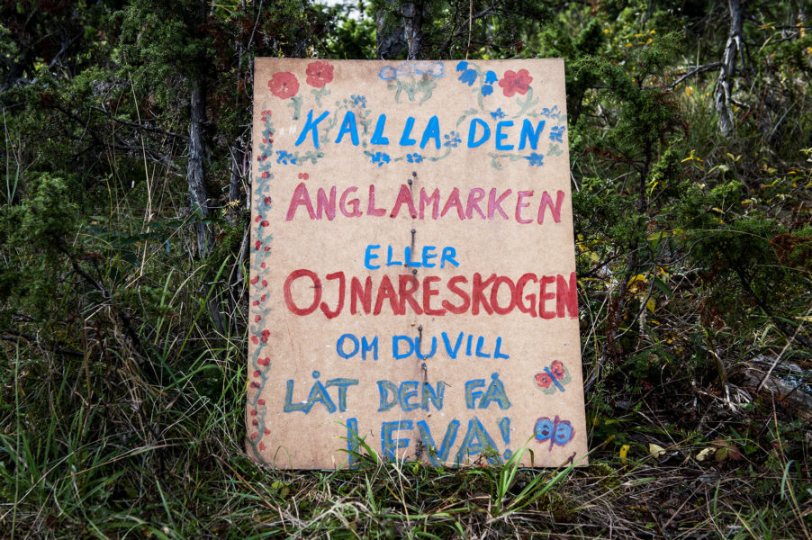 Under sommaren 2012 fanns aktivisternas manifestationer runt om och i Ojnareskogen.