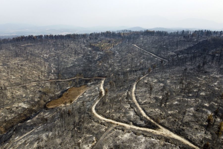 Den grekiska ön Evia är hårt drabbad av bränderna, som premiärministern kallar en katastrof.