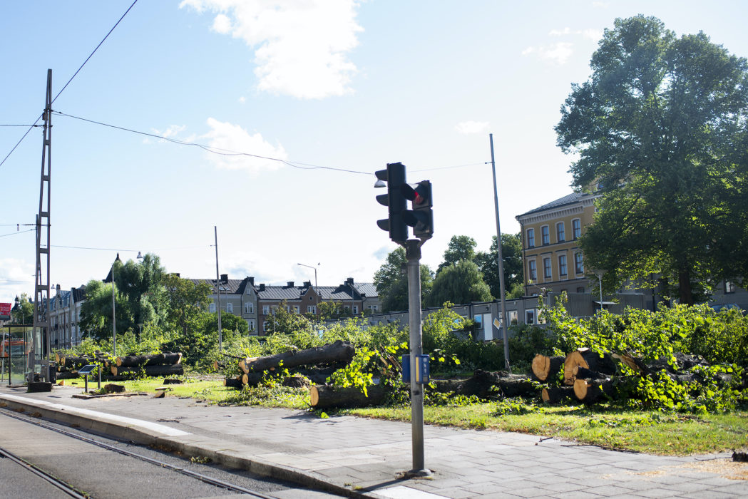 En hel del av virket kommer gå till faunadepåer som kommer placeras på olika ställen i och utanför stadskärnan, berättar Mia Agvald Jägborn, kommunekolog