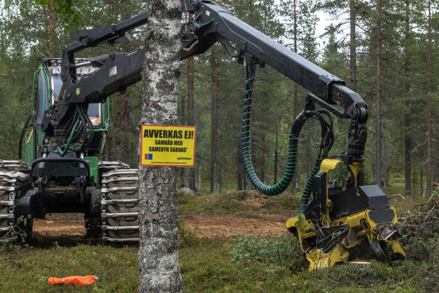 I söndags var en skogsmaskin i uppdrag av Sveaskog i full gång med avverkning.