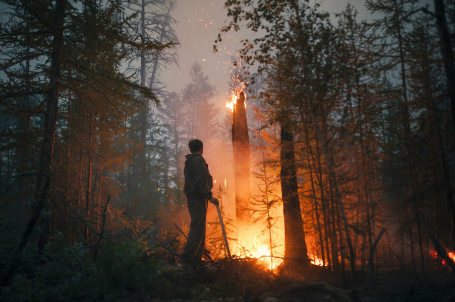 Enorma bränder härjar sedan flera veckor tillbaka i nordöstra Sibirien.