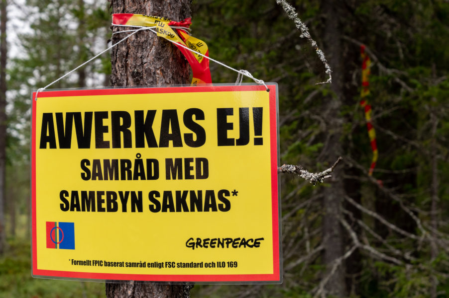 Greenpeace är i Muonio sameby på obestämd tid.