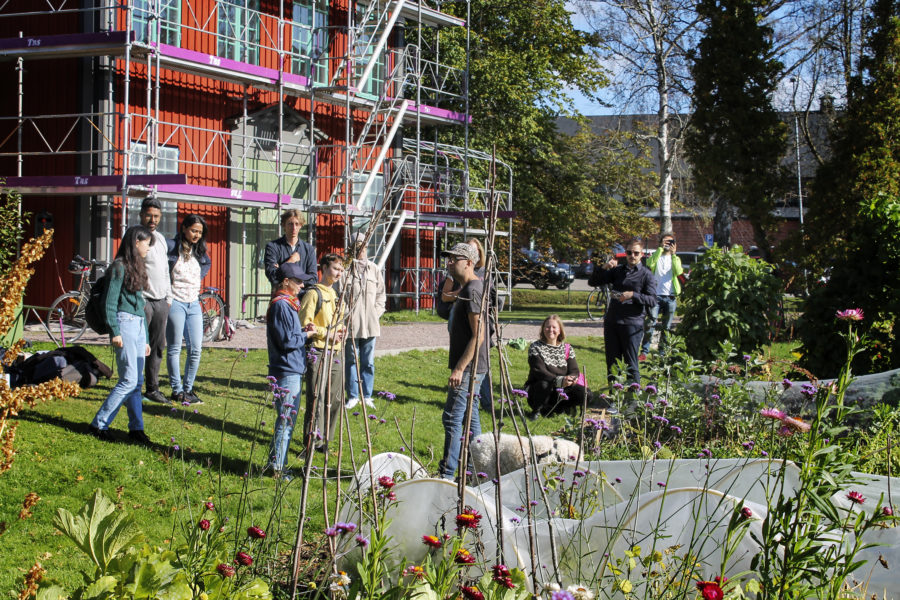 På Stallbackens kollektivodling i Kviberg  i Göteborg växer det så det knakar, flera odlare beskriver hur mycket roligare och mer lärorikt det är att odla tillsammans med andra än själv.
