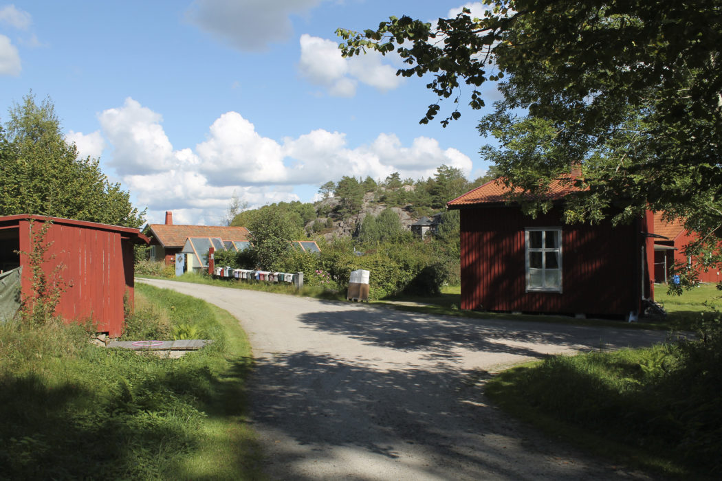 I Bottnabygden blomstrar det småskaliga och mångfaldiga lokalsamhället
