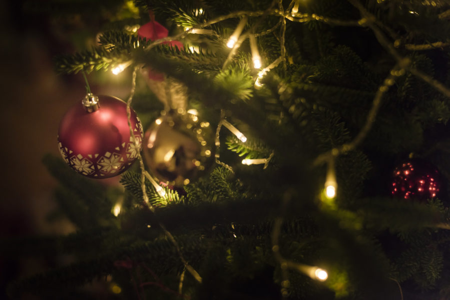 Vad är en hållbar julgran? Det uppmärksammar Medveten Konsumtion i årets julkampanj.