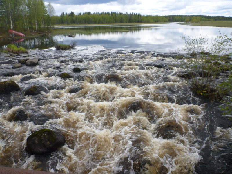 Byssjan är ett av Umeälvens många biflöden.