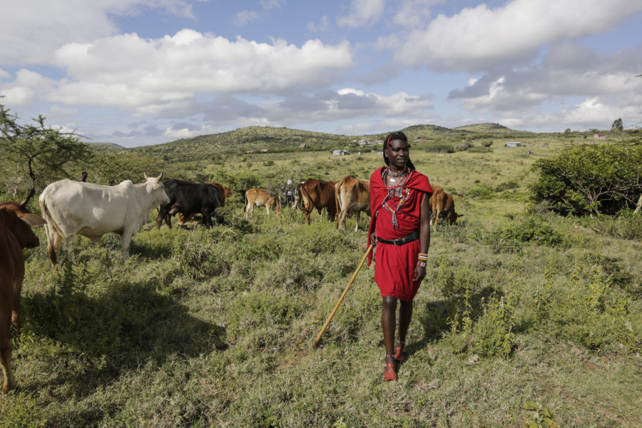 Foto: Massajer är en delvis nomadisk ursprungsbefolkning vid gränsen mellan norra Tanzania och Kenya.