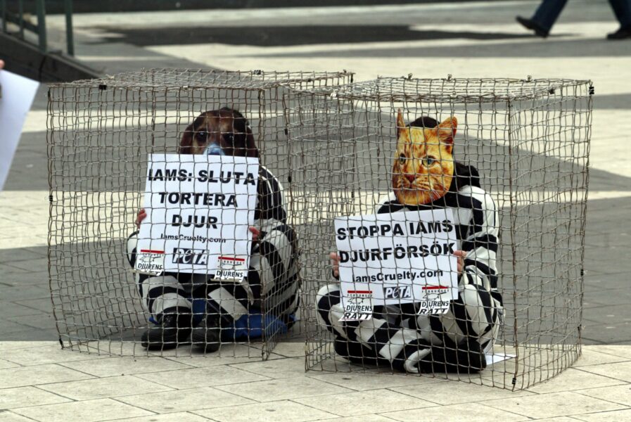 Djurens rätt och PETA protesterar mot djurförsök 2005.