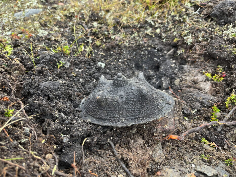 Ytterligare ett spänne från den första hittade kvinnograven från vikingatiden i fjällen