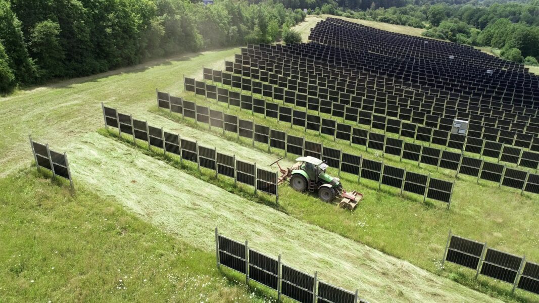 Utanför Arboga ska den första kommersiella agrivoltaiska sol-elanläggningen stå klar redan i höst.