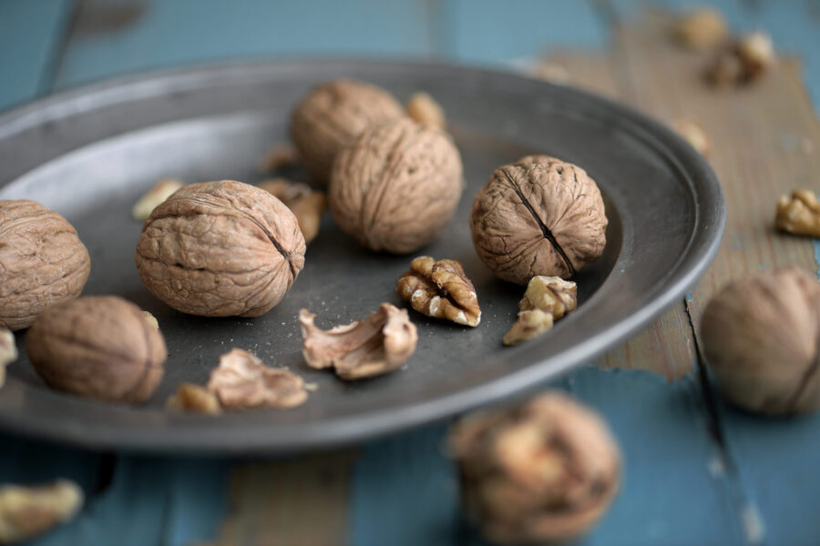 I sin nya bok tipsar Philipp Weiss om valnötter och andra nötter som går att odla själv.