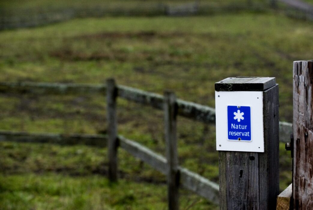 Skötseln av naturreservat riskerar att bli eftersatt på grund av regeringens minskade budget