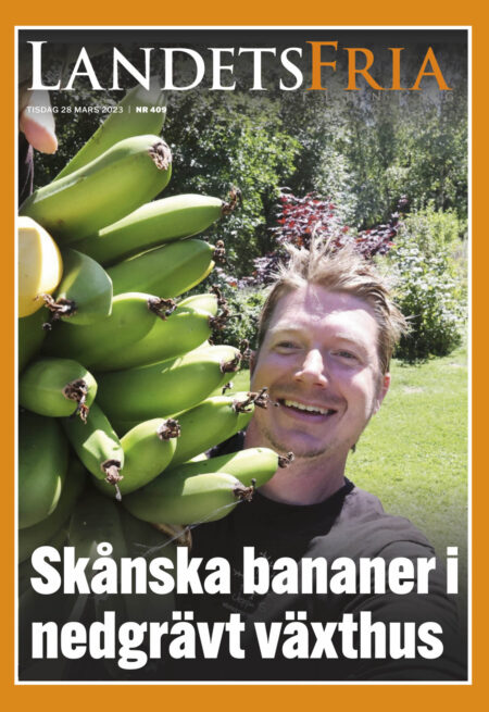 Nummer arkiv