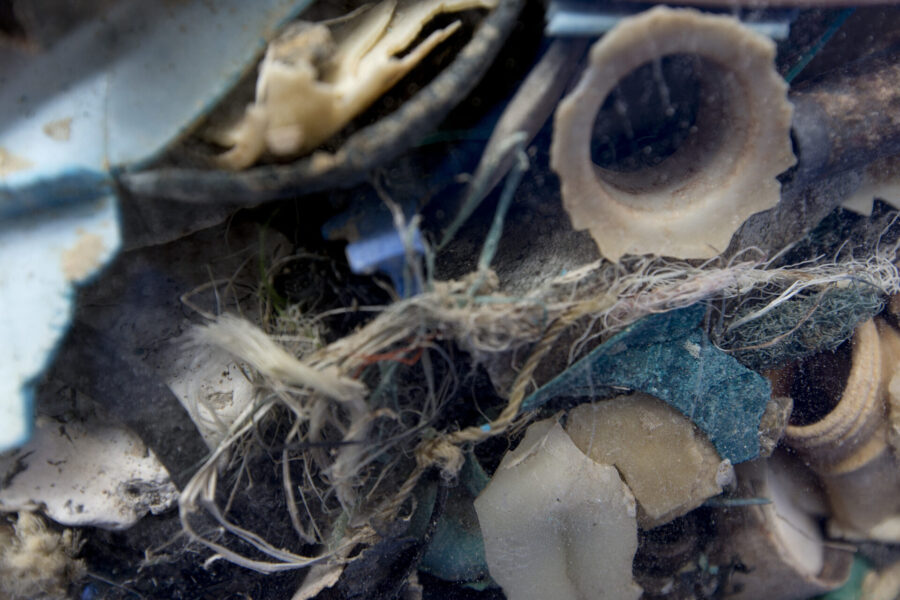 Ryggradslösa djur har skapat sig ett liv på plastskräp långt ute i Stilla havet.
