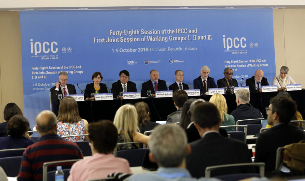 FN:s klimatpanel IPCC bör föregå med gott exempel och minska de flygningar som krävs för att hålla fysiska möten, anser en kritisk forskare.