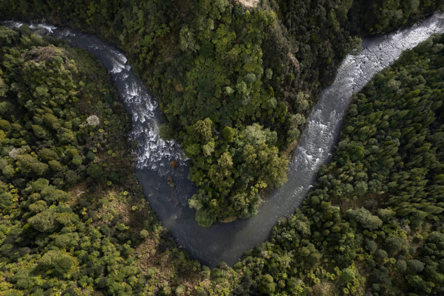 Floden Whanganui på Nya Zeeland, en av flera floder över världen som har fått egna rättigheter.