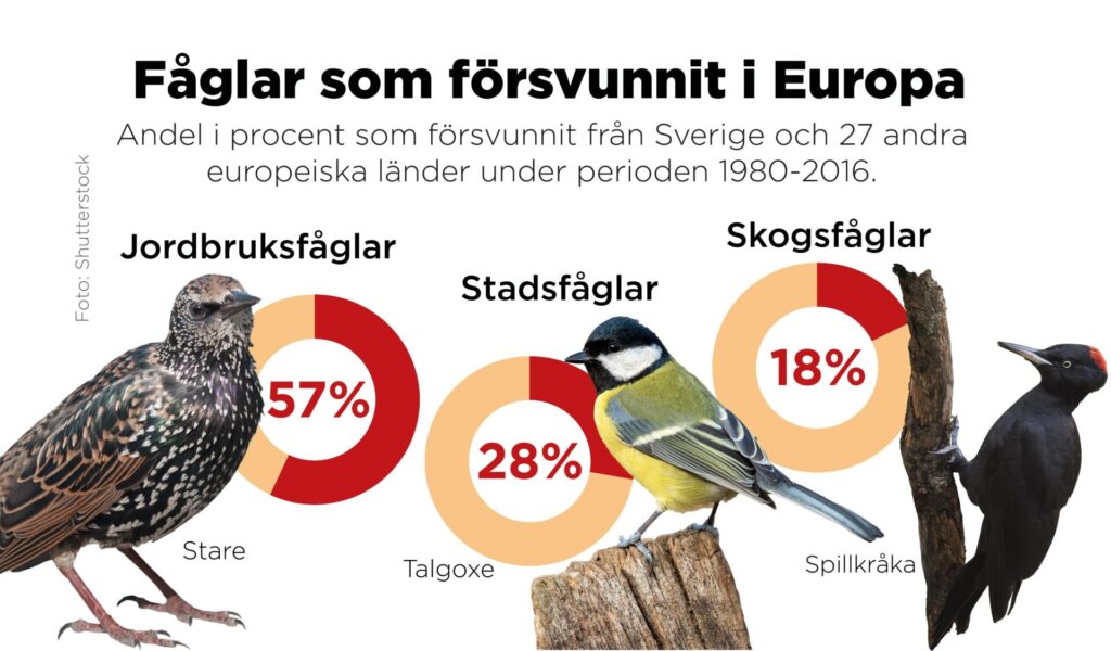 Fåglar som försvunnit i Europa 1980–2016.