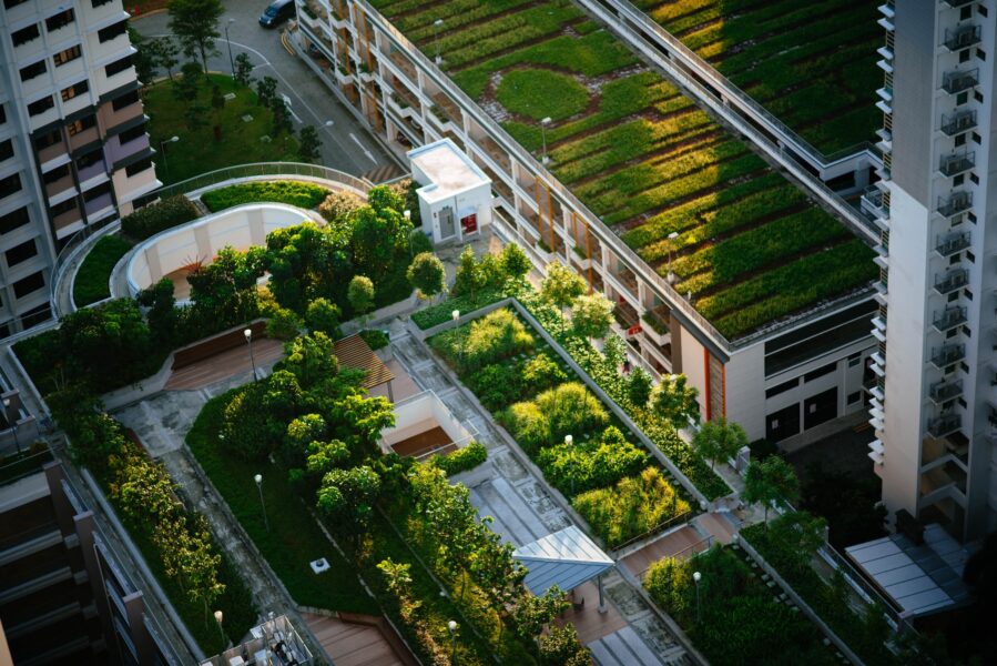 Gröna tak binder kol och bidrar till bättre hantering av regnvatten.