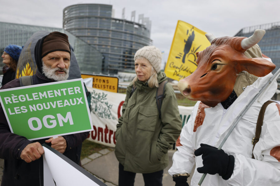 Demonstranter protesterar mot bland annat nya GMO-regler utanför EU-parlamentet i Strasbourg i tisdags.