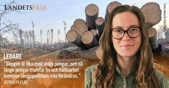 Porträttbild på skribenten med en hög avverkade träd och ett hygge på bilden i bakgrunden.