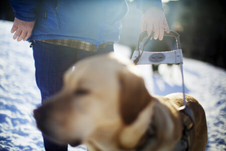 Ledarhund och synskadad i snölandskap.
