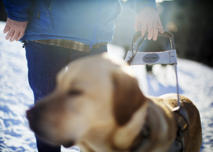 Ledarhund och synskadad i snölandskap.