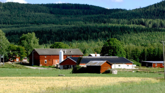 Röd byggnad i förgrunden, i bakgrunden skog på berg.