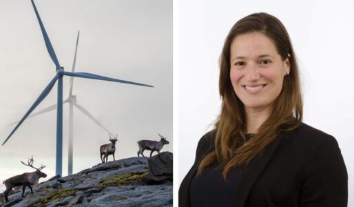 Kollage av två foton: till vänster renar på bergig mark under ett vindkraftverk i dimma, till höger porträttbild på forskaren Solene Prince.