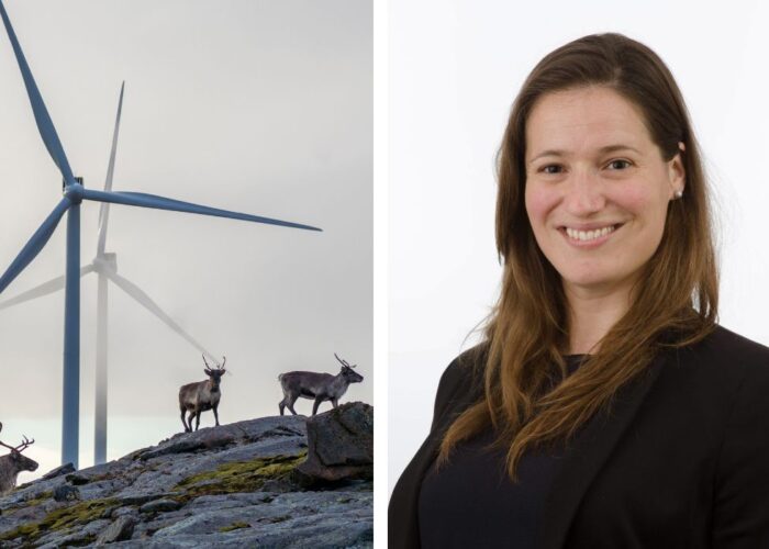 Kollage av två foton: till vänster renar på bergig mark under ett vindkraftverk i dimma, till höger porträttbild på forskaren Solene Prince.