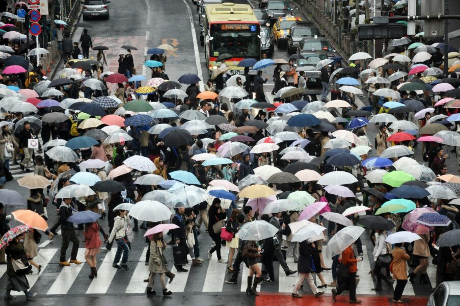 En stor grupp människor under paraplyer passerar ett övergångsställe.