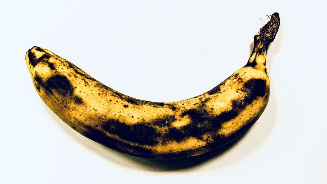 Övermogen svartfläckig banan mot vit bakgrund.