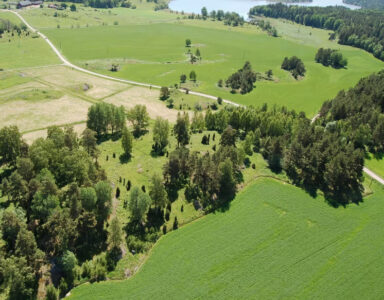 Vy ovanifrån på grönområde och träddunge.