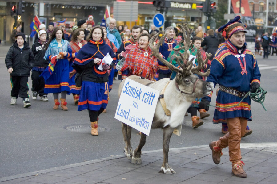 Samer i traditionella kläder demonstrerar i Stockholm. I demonstrationståget går även en ren.