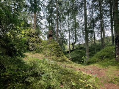 Skogsväg i naturreservat.