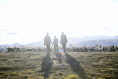 Silhuetter mot en ljus himmel av tre personer på avstånd i mitten av bilden, i bakgrunden renar och berg.