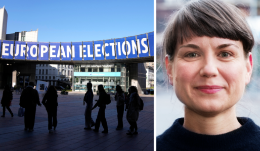 Blå skylt om EU-valen till vänster och statsvetaren Moa Mårtensson till höger.