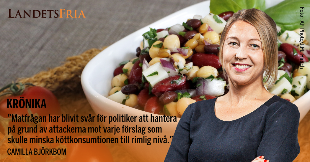 Camilla Björkbom, krönikör.