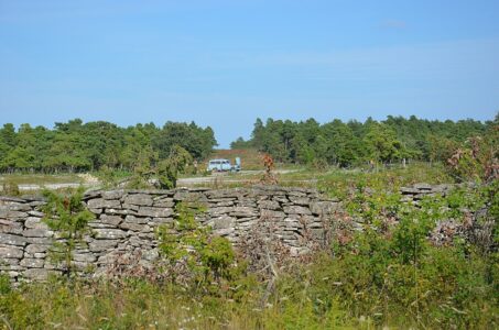 Grönska vid stenmur i förgrunden, en ljusblå bil och skog i bakgrunden.
