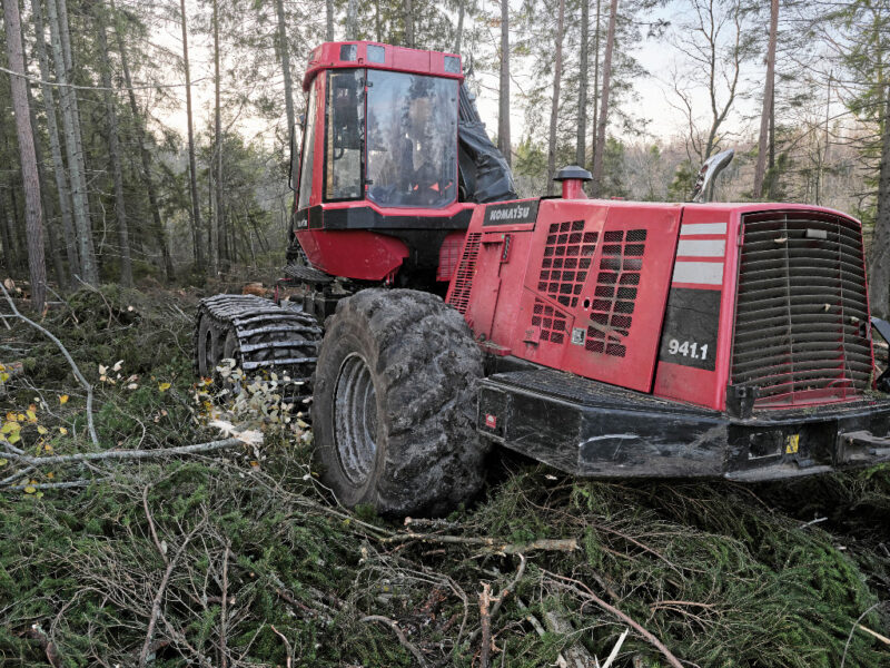 En röd traktor kör över granris i en skog.