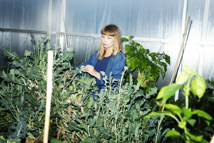 Maja Alskog Bredberg pysslar om plantor i ett växthus.