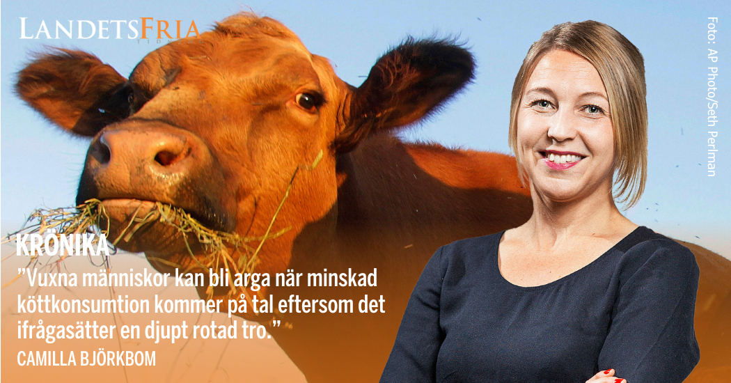 Camilla Björkbom i förgrunden, i bakgrunden en ko.