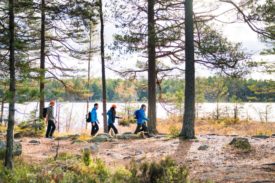 Folk friluftar i skog.